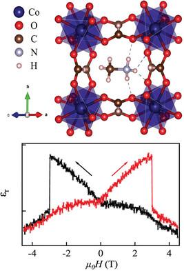 Resonant Quantum Magnetodielectric Effect in Multiferroic Metal–Organic Framework [CH3NH3]Co(HCOO)3