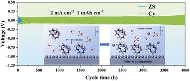 Regulating the solvation structure and adsorption behavior in zinc anodes using polar organic molecules to achieve durable dendrite-free zinc metal anodes for aqueous zinc-ion batteries†