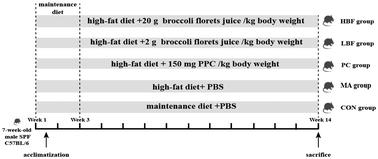 Broccoli (Brassica oleracea L. var. italica Planch) alleviates metabolic-associated fatty liver disease through regulating gut flora and lipid metabolism via the FXR/LXR signaling pathway