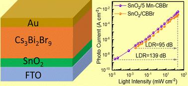 High photodetector responsivity and weak light detection in a manganese doped lead-free low dimensional perovskite†