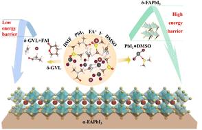 Equilibrating bonding energy between solvent and solute for optimized crystallization enables efficient perovskite solar cells†