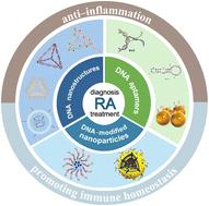 Multifunctional DNA nanomaterials: a new frontier in rheumatoid arthritis diagnosis and treatment