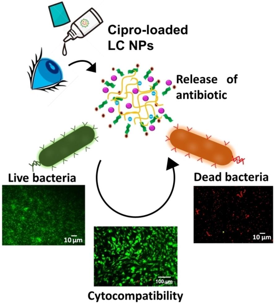 Antibacterial Lecithin/Chitosan Nanoparticles for the Sustained Release of Ciprofloxacin to Treat Ocular Bacterial Infections