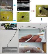 Polyurethane packed graphene-coated spider silk by dip-casting for a highly stretchable strain sensor