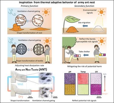 Army Ant Nest Inspired Adaptive Textile for Smart Thermal Regulation and Healthcare Monitoring
