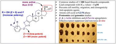 Thiazole-fused androstenone and ethisterone derivatives: potent β- and γ-actin cytoskeleton inhibitors to treat melanoma tumors†