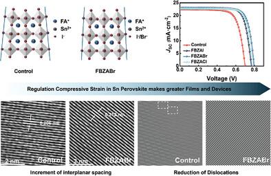 Regulating Compressive Strain Enables High-Performance Tin-Based Perovskite Solar Cells
