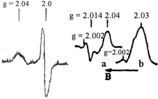 Principal Role of EPR Method in Discovery, Identification and Study of Dinitrosyl Iron Complexes in Living Organisms (Review)