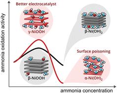 Ammonia electro-oxidation on nickel hydroxide: phases, pH and poisoning†
