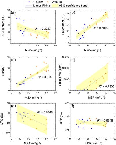Mineral surface area of sinking particles in the deep ocean interior: Preliminary implications