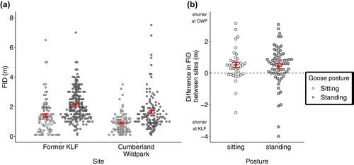 Flight initiation distance is repeatable and geographically flexible in greylag geese Anser anser