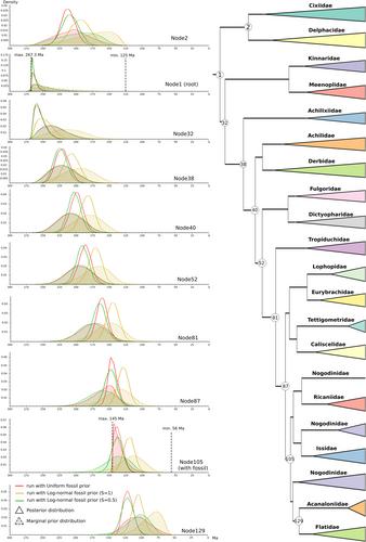 Phylogenomic insights into the relationship and the evolutionary history of planthoppers (Insecta: Hemiptera: Fulgoromorpha)
      基于基因组的系统发育分析为蜡蝉亚目(Fulgoromorpha)的系统发育关系及进化提供新见解