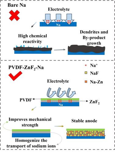 Artificial Solid-Electrolyte Interphase with PVDF-ZnF2 Double-Layer Structures Enhancing Electrochemical Performance of Sodium Metal Batteries