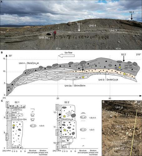Ribbed moraines formed during deglaciation of the Icelandic Ice Sheet: implications for ice-stream dynamics