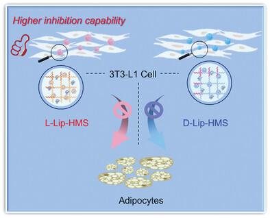 Improved Catalytic Performance of Lipase Within Hydrogel Microspheres Incorporating L/D-Co3O4 Nanoparticles