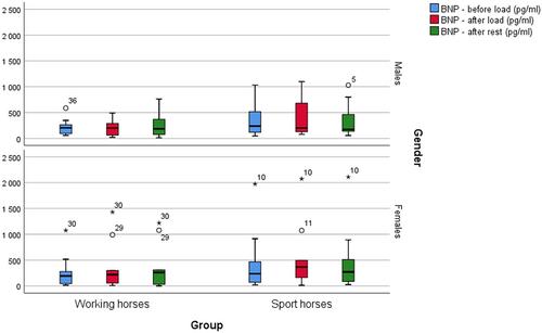The impact of different types of exercises on echocardiographic parameters and plasma BNP concentrations in working and sports horses
