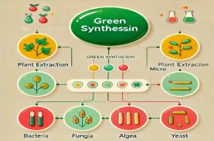 Green Synthesis of MgO, ZnO, Ag, and Au Nanoparticles Using Plant Extraction and Their Application in Oil Industry and Environment (A Review)