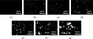 Monitoring of size and dynamics of thrombus in artificial blood flow using laser speckle image analysis