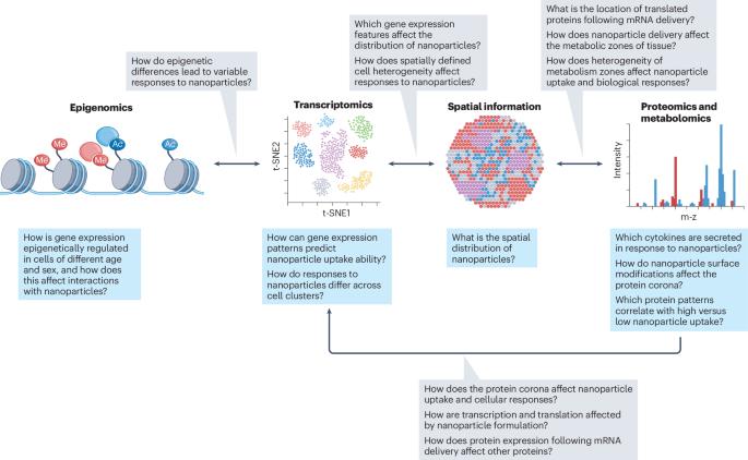 Multi-omics approaches to decipher the interactions of nanoparticles and biological systems