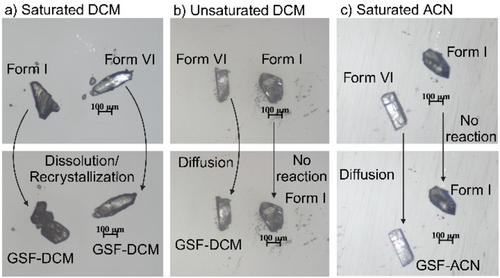 Guest Diffusion Versus Recrystallization in A Single Crystal: Two Growing Mechanisms for Griseofulvin Clathrates