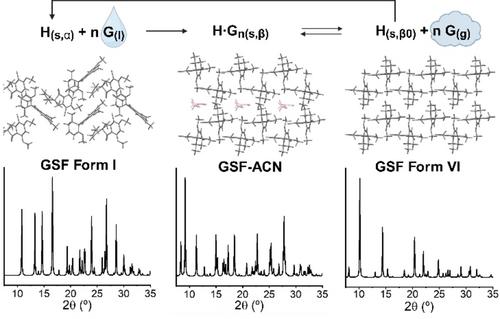 Guest Diffusion Versus Recrystallization in A Single Crystal: Two Growing Mechanisms for Griseofulvin Clathrates
