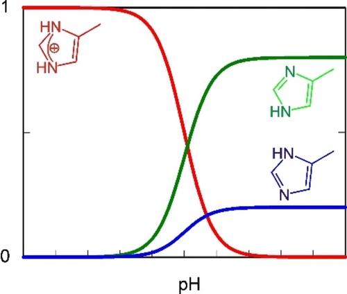 Proton Occupancies in Histidine Side Chains of Carbonic Anhydrase II by Neutron Crystallography and NMR – Differences, Similarities and Opportunities