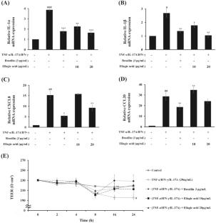 Ellagic acid suppresses β-defensin2 antimicrobial peptide and CCL20 chemokine in psoriasis-like HaCaT human keratinocyte