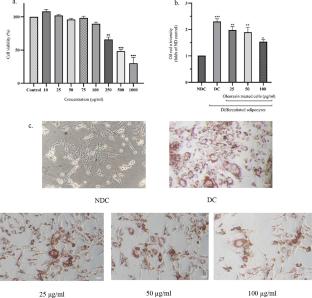 Anti-adipogenic activity of oleoresin from Nigella sativa L. seeds via modulation of PPAR-γ and C/EBP-α expression in 3T3-L1 adipocytes