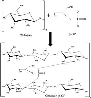 A review on in situ gels as polymer drug carriers in the treatment of periodontitis