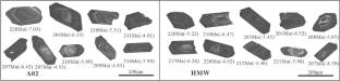 Petrogenesis and geodynamics of the Dashenshan I-type granite and its implications for the Triassic tectonic evolution of the South China Block