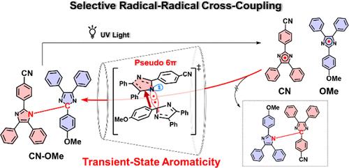 Impact of Transition-State Aromaticity on Selective Radical-Radical Coupling of Triarylimidazolyl Radicals.