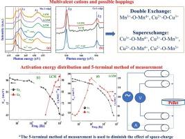 Role of multivalent state of B-site cations on the electrical transport behavior of Zn-substituted double perovskite: La2CuMnO6