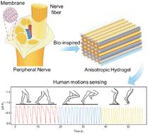 A multi-modal deformation sensing hydrogel with a nerve-inspired highly anisotropic structure†