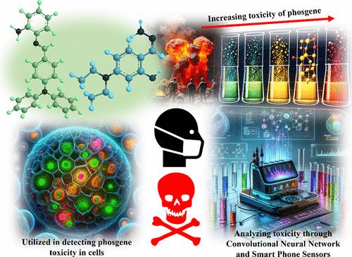 Next-Generation Phosgene Detection: Convolutional Neural Network with Triphenylamine and N-Salicylaldehyde Probes for Enhanced Sensitivity and Bioimaging