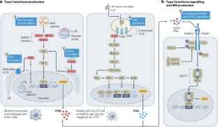 Emerging concepts and treatments in autoinflammatory interferonopathies and monogenic systemic lupus erythematosus