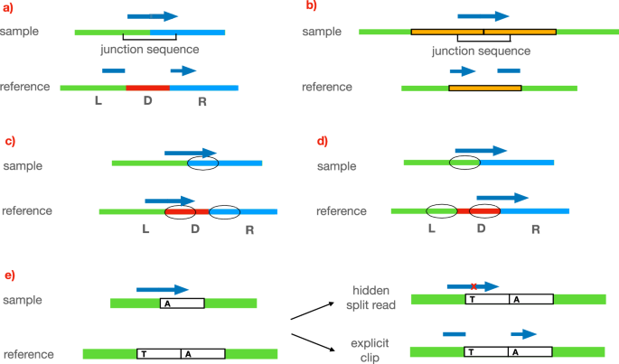 SurVIndel2: improving copy number variant calling from next-generation sequencing using hidden split reads