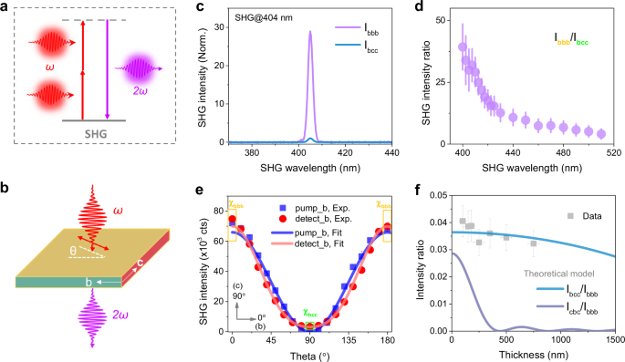 Polarization entanglement enabled by orthogonally stacked van der Waals NbOCl2 crystals