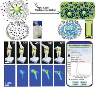 A Mechanoluminescence-Based Stress Sensing Hydrogel for Intelligent Artificial Ligament