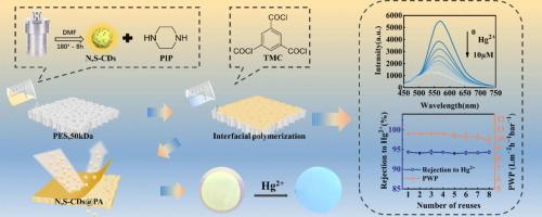 N, S-CDs encapsulated polyamide fluorescent membranes: An efficient strategy for the retention and detection of mercury (II) ions in aqueous environments