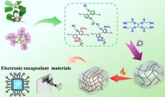 A simple and versatile photothermal dual-curing system design based on phytophenol derivatives and thiol chemistry for potential electronic encapsulant application