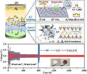 Ion selective rapid transport enabled by functionalized CeO2/LiX zeolite modified separator in high performance lithium sulfur batteries
