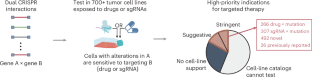 A blueprint to discovering synthetic lethal gene interactions for precision oncology