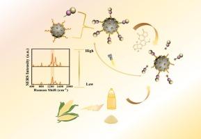 SERS aptasensor detection of aflatoxin B1 based on silicon-au-ag Janus nanocomposites