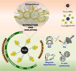 Design of a magnetic nanocarrier containing phyllacanthone as delivery of anticancer phytochemical: Characterization and theranostic in vitro applications