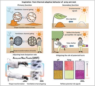 Army Ant Nest Inspired Adaptive Textile for Smart Thermal Regulation and Healthcare Monitoring