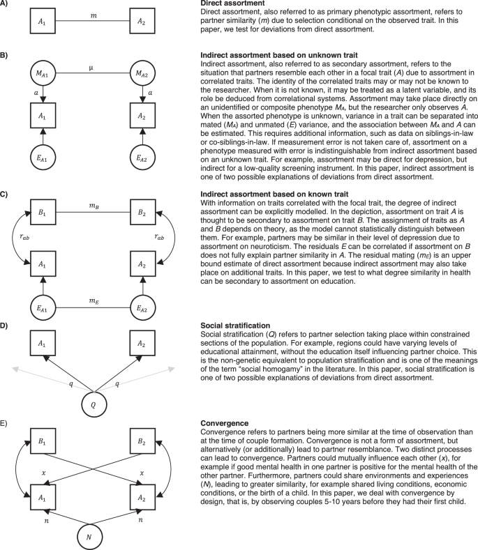 Non-random mating patterns within and across education and mental and somatic health