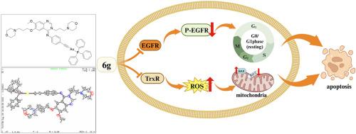 Gold(I) complexes bearing EGFR-inhibiting ligands as anti-HCC agents through dual targeting of EGFR and TrxR