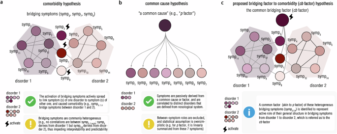 Edge-centric connectome-genetic markers of bridging factor to comorbidity between depression and anxiety