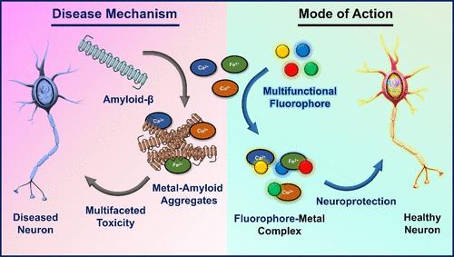 Multifunctional Fluorescent Probes Unveiling Complex Pathways in Alzheimer’s Disease Pathogenesis