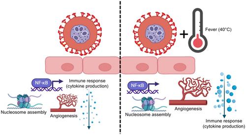 Cytoadhesion of Plasmodium falciparum-Infected Red Blood Cells Changes the Expression of Cytokine-, Histone- and Antiviral Protein-Encoding Genes in Brain Endothelial Cells